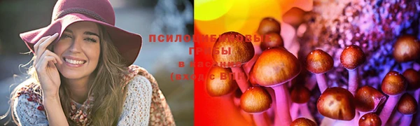 дмт Алексеевка