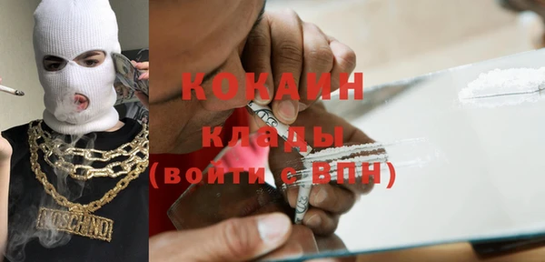 твердый Бикин