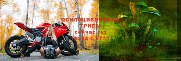 дмт Алексеевка