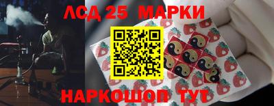 гидропоника Обнинск