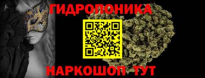 гашик Обь