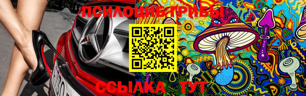 Севастополь  Псилоцибиновые грибы мухоморы  Вход с VPN 