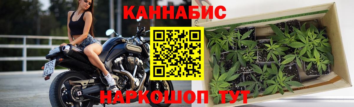 Шишки марихуана сатива Севастополь